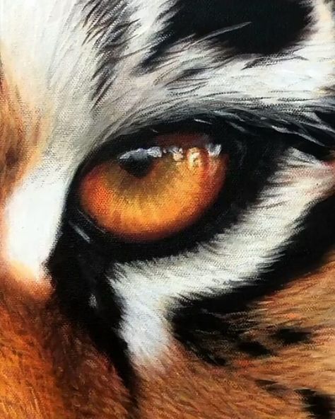 Tiger Eyes Paintings, Eye Of A Tiger, Tiger Eye Sketch, Tiger Eye Painting Acrylic, Animal Eyes Painting, Animals Eyes Drawing, Animal Eye Painting, Tiger Eyes Drawing, Eye Hyperrealism