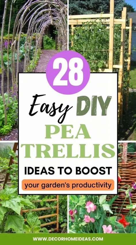 Boost your garden's productivity with our top 28 pea trellis ideas! From DIY to ready-made designs, discover creative and practical ways to support your pea plants for optimal growth. Diy Pea Trellis, Pea Trellis Ideas, Snap Pea Trellis, Small Garden Trellis, Outdoor Trellis Ideas, Rustic Trellis, Teepee Trellis, Bean Trellis, Pea Trellis