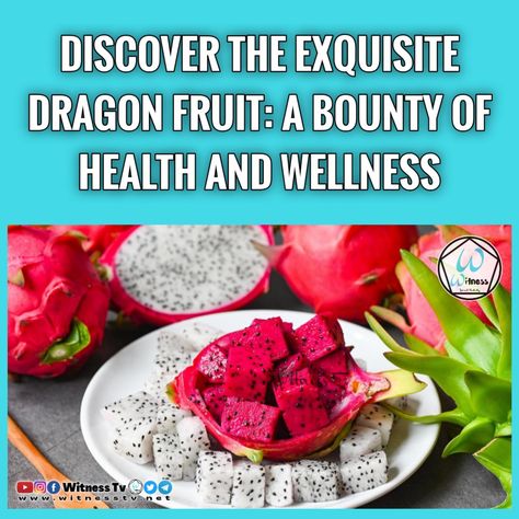 Discover the captivating allure of dragon fruit! Explore its health benefits, medical advantages & enticing uses. Embrace a healthier lifestyle today! Dragon Fruit Benefits, Refreshing Snacks, Fruit Salsa, Healthy Digestive System, Low Glycemic, Fruit Infused, Healthier Lifestyle, Healthy Aging, Dragon Fruit