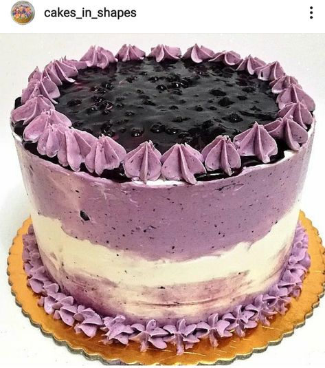 Simple Blueberry Cake Designs, Blueberry Birthday Cake Design, Blueberry Cake Design, Blueberry Cake Decoration, Fresh Fruit Cake, Poo Poo, Pee Pee, Cake Photos, Simple Cake Designs