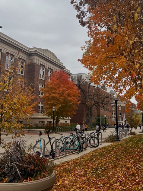 Studera Motivation, Fall Mood Board, Fall Semester, Season Of The Witch, Autumn Scenery, University Of Minnesota, Fall Activities, Fall Feels, Fall Pictures