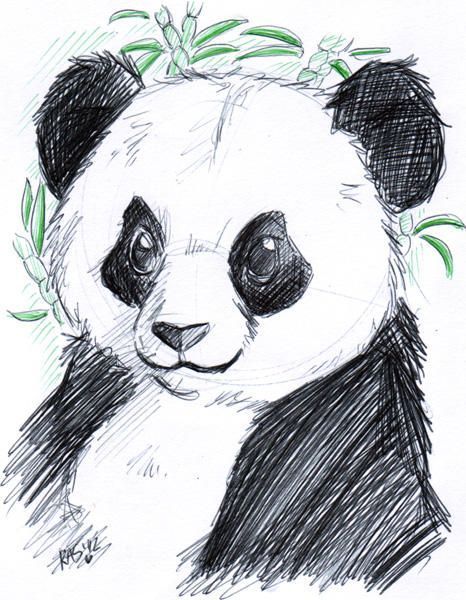 Panda Drawing Easy, Panda Sketch, Jungle Drawing, Cute Panda Drawing, Panda Painting, Panda Drawing, Giant Pandas, Birthday Art, Bear Drawing