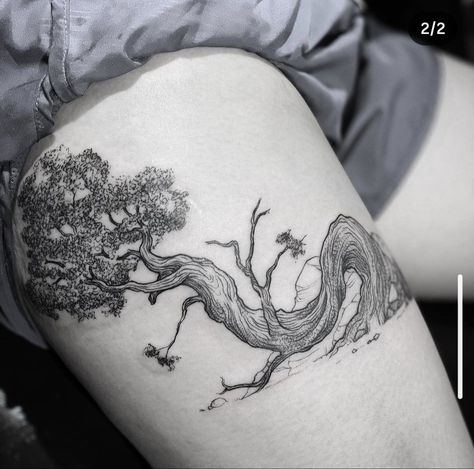 Yew Tree Tattoo, Eucalyptus Tree Tattoo, Juniper Tree Tattoo, Cypress Tree Tattoo, Juniper Tattoo, Trees Tattoo, Wrap Around Tattoo, Black Tattoo Cover Up, Juniper Tree