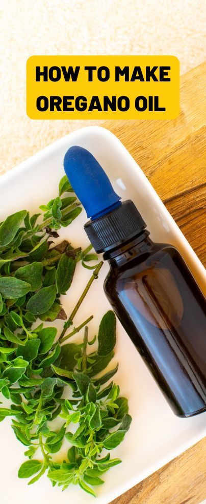 Make Oregano Oil, Herbalist Recipes, Oregano Recipes, Oregano Oil Benefits, Oregano Plant, Medicinal Oils, Diy Herbal Remedies, Oregano Essential Oil, Making Essential Oils