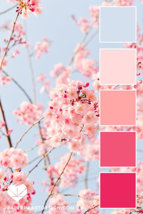 Fantastic Free of Charge Color Palette spring Ideas Regardless of whether you happen to be newbie or an oldtime fretting hand, guidelines for color is d #Charge #Color #Fantastic #Free #Ideas #Palette #spring Current Color Trends 2023, Blush Pink Palette Color Schemes, Pink Spring Color Palette, Colors Of Pink Shades, Cherry Blossom Decor Bedroom, Pink And Blue Pallet, Colors That Go With Blush Pink, Pink Blue Color Scheme, Lively Color Palette