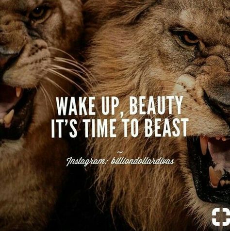 Wake up, Beauty... #lion #quotes #pinterest #pins #trending #trends #idrishussain067 #india #men #female Daglig Motivation, Lion Quotes, Strong Quotes, Gorillaz, Spiritual Art, Motivation Inspiration, The Words, Great Quotes, Success Quotes