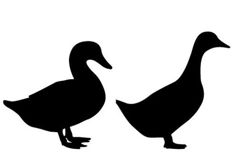 Female Duck, Bird Silhouette Tattoos, Duck Silhouette, Bird Vector, Bird Template, Birds Sitting, Bird Illustrations, Free Silhouette, Free Vector Illustration