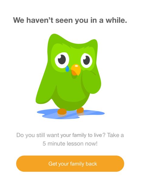 Duolingo threats Duolingo Memes, Dark Jokes, Very Funny Pictures, Real Funny Jokes, Some Funny Jokes, Hysterically Funny, Really Funny Pictures, Really Funny Memes, Funny Laugh