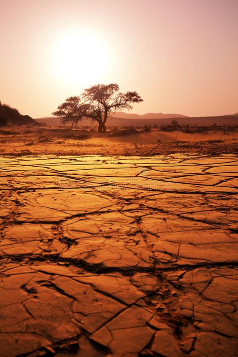 Drought Aesthetic, River In Desert, Drought Landscape, Namibian Desert, Desert Texture, Desert Images, Africa Desert, Namibia Desert, Desert Wanderer