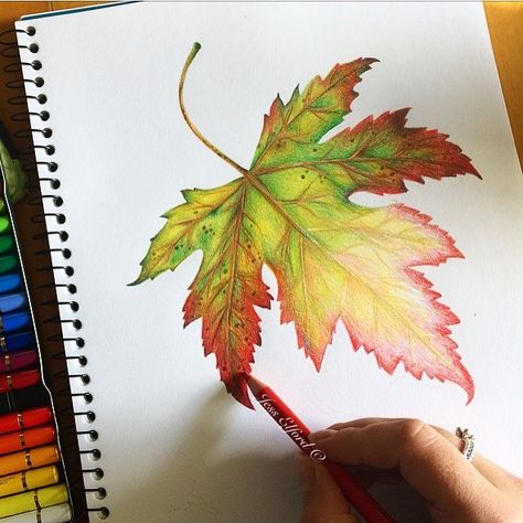 Work in progress drawing of an Autumn leaf by Jess Elford 🍁🍂 drawn with polychromo pencils Pencil Techniques, Sunflower Dress, Pencil Artwork, Colored Pencil Artwork, Journal Lettering, Bracelet Craft, Colored Pencil Techniques, Watercolor Projects, Leaf Drawing