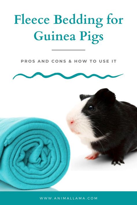 fleece bedding for guinea pigs Guinea Pig Fleece, Fleece Bedding, Pig Stuff, Guinea Pig Bedding, Guinea Pig Cage, Fabric Bed, Rodents, Guinea Pig, Pros And Cons