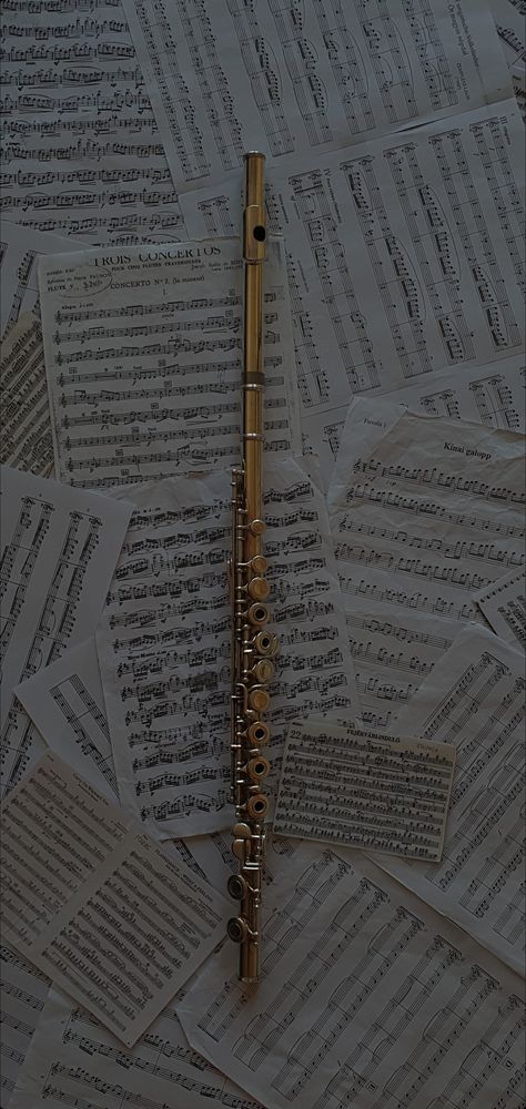 Piccolo Flute Aesthetic, Flute Instrument Aesthetic, Band Teacher Aesthetic, Flute Aesthetic Wallpaper, Aesthetic Flute Pictures, Flutist Aesthetic, Flauta Aesthetic, School Band Aesthetic, Flute Wallpapers