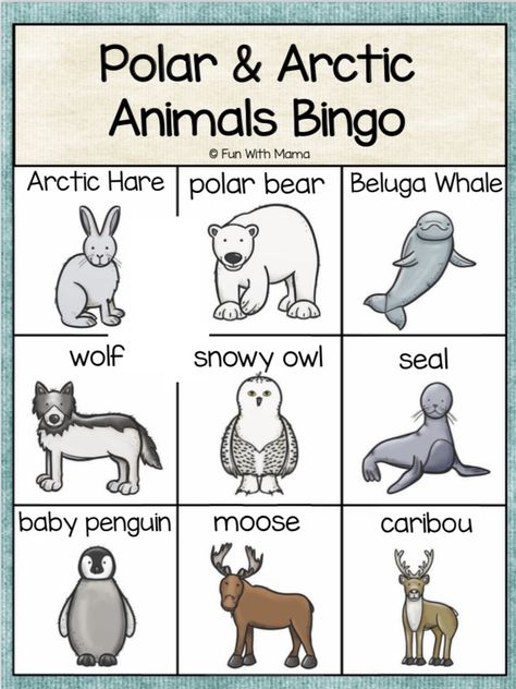 January Preschool Themes, Antarctic Animals, Arctic Hare, Art Preschool, Preschool Winter, Snow Animals, Winter Art Projects, Polar Animals, Beluga Whale