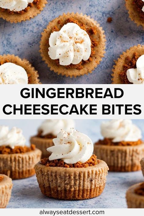 Meet your new Christmas dessert obsession: mini gingerbread cheesecakes! Ultra-creamy, warmly spiced, and nestled in a nutty crust, these individual treats are a flavor explosion. Topped with holiday cheer, they're sure to impress at any festive gathering. Small in size, big on flavor! Christmas Finger Food Deserts, Mini Cheesecakes Baked, Cheesecake Shots Mini Desserts, Mini Cheesecake Bites Christmas, Small Christmas Dessert Ideas, Dessert Small Bites, Mini Desserts To Sell, Desserts In Mini Muffin Tins, Cheesecake Bites Christmas