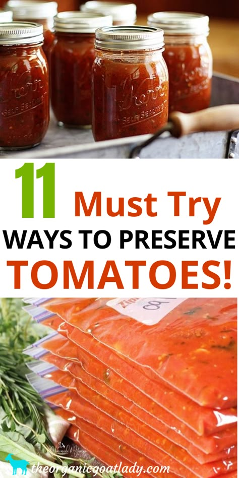 Garden Tomato Recipes, Preserve Tomatoes, Preserving Tomatoes, Freezing Vegetables, Canning Whole Tomatoes, Fresh Tomato Recipes, Barbeque Recipes, Canning Vegetables, Home Canning Recipes