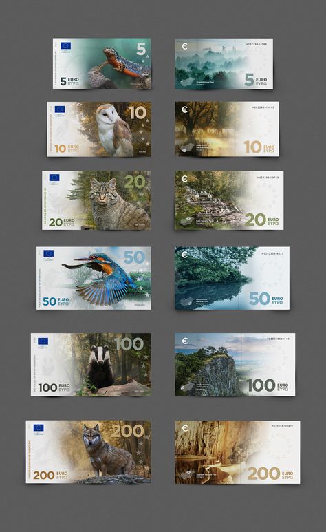 Euro Banknotes, Banknotes Design, Currency Design, Money Notes, Canvas Learning, Money Design, Geometric Design Art, Doll Diy Crafts, Notes Design