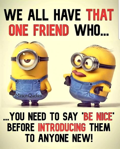 10 Funny Minion Quotes That Are Too Silly To Take Seriously Too Silly, Funny Mean Quotes, Minions Humor, Minions Funny Images, Funny Minion Pictures, Funny Day Quotes, Images With Quotes, Friend Jokes, Minion Jokes