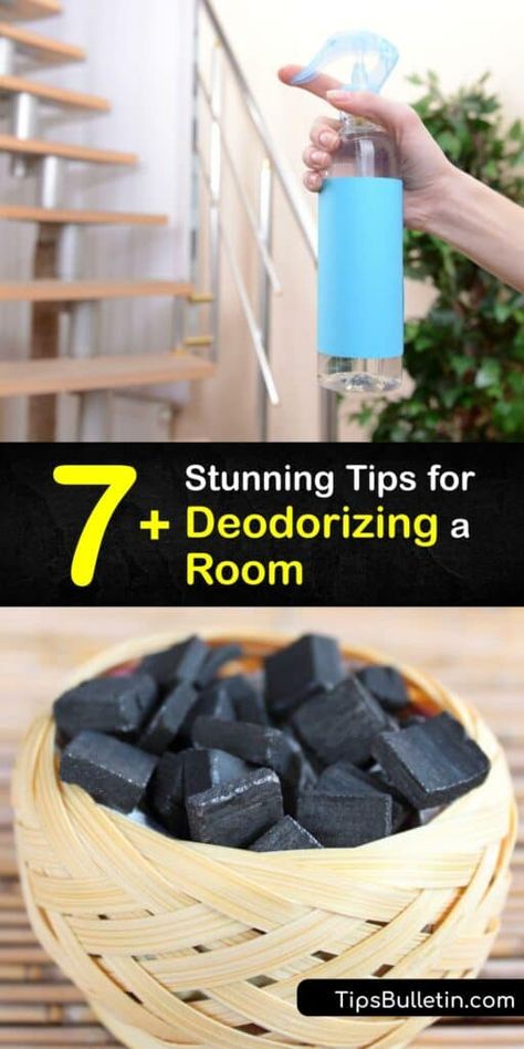 Make Your Room Smell Good, Odor Eliminator House, Deodorize House, Odor Eliminator Diy, Room Smell Good, Old House Smells, Home Maintenance Tips, Smell Remover, Room Deodorizer