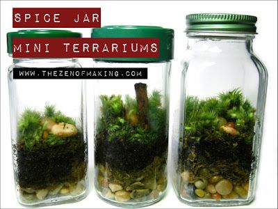 seriously awesome! Spice Jar Mini Terrariums by The Zen of Making Terrariums Diy, Terrarium Jar, Mini Terrarium, Terrarium Ideas, Moss Terrarium, Terrariums Kits, Moss Garden, Terrarium Diy, Garden Terrarium