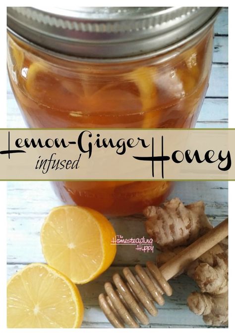 Honey And Tea Gift Ideas, Honey Infused Recipes, Lemon Ginger Honey, Infused Honey, Ginger Honey, Lemon Ginger, Ginger And Honey, Honey Recipes, Spiced Rum