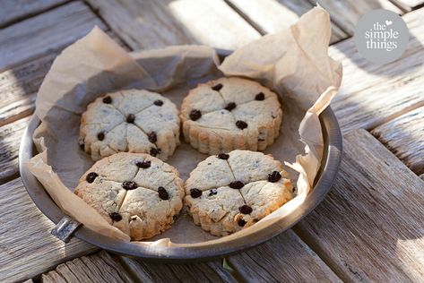 Prayers For The Dead, Soul Cakes, Samhain Recipes, Cake Recipe Easy, Soul Cake, Medieval Recipes, Souls Day, Apple Bite, All Souls Day