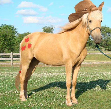 Real Life Applejack Horse Halloween Costumes, Apple Jack, Horse Costumes, Pony Unicorn, Pony Party, Princess Celestia, Mlp My Little Pony, Cute Horses, Doberman Pinscher