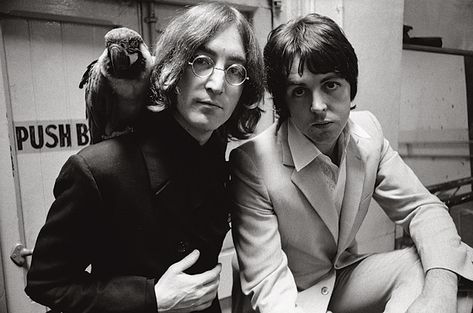 John, Paul, and Polly John And Paul, Beatles Rare, John Lennon Paul Mccartney, Rock & Roll, Lennon And Mccartney, The White Album, Beatles Photos, John Lennon Beatles, Beatles John