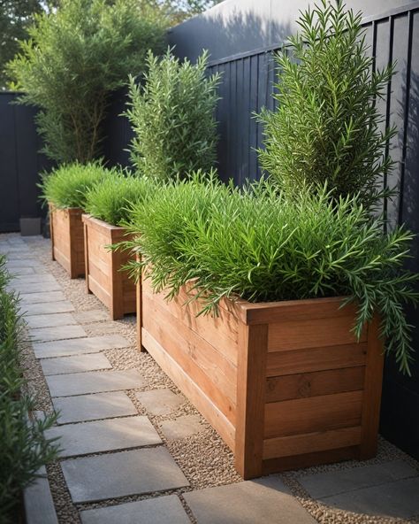 15 Best Shrubs For Planter Boxes Raise Planter Boxes, Diy Wood Planter Boxes Front Porches, Long Planter Box Ideas, Planter Box In Front Of House, Landscaping With Large Pots, Planter Boxes Front Of House, Planter Boxes For Privacy, Plant Box Ideas, Window Planter Ideas