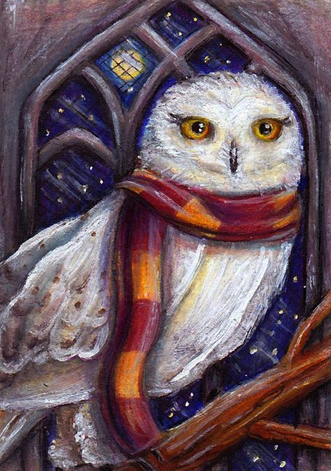 Hedwig Hery Potter, Harry Potter Owl, Harry Potter Painting, Harry Potter Bedroom, Harry Potter Illustrations, Harry Potter Disney, Harry Potter Artwork, Images Harry Potter, Potter Art