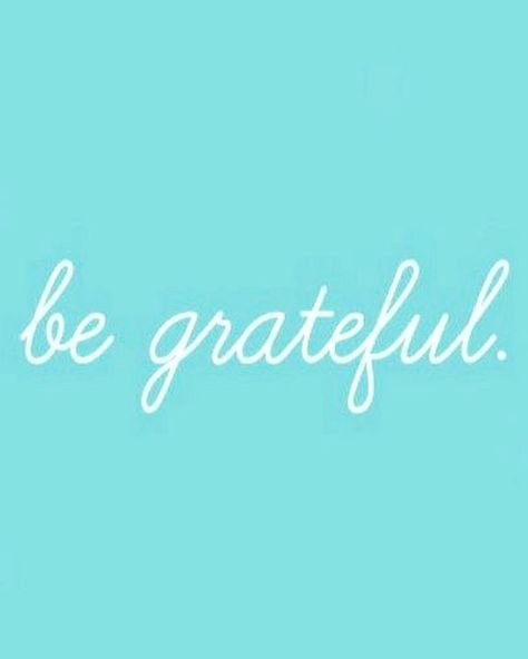 Express gratitude everyday 🙏🏼 Turquoise Aesthetics, Teal Quotes, Turquoise Quotes, Teal Quote, Tiffany Blue Wallpapers, Widget Background, Quote Widget, Teal Aesthetic, Turquoise Aesthetic