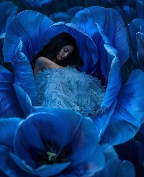 Royal Blue Photoshoot, Blue Photoshoot, Dance Project, Im Blue, Picture Prompts, Age Of Aquarius, Fantasy Photography, Fairytale Fantasy, Beautiful Mermaids