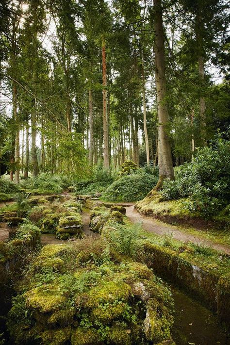 Castle Garden, Royal Garden, Castle House, Forest Garden, Garden Show, Cumbria, Japanese Garden, Garden Inspiration, Beautiful Gardens