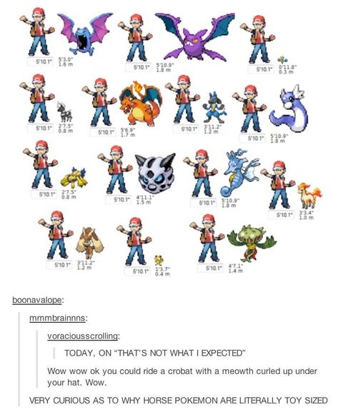 Pokemon Tumblr, Wild Pokemon, Pokémon Art, Tumblr Post, Pokemon Pins, Play Pokemon, Pokemon Comics, Pokémon Master, Pokemon Memes