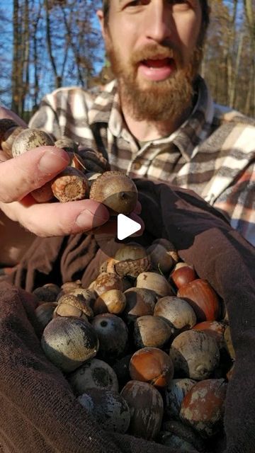 Acorn Uses, Eating Acorns, Grain Dishes, Wild Foraging, Survival Ideas, Going Off The Grid, Bean Soup Recipes, Self Reliance, Wow Video