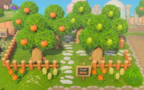 Fruit Trees Animal Crossing, Acnh Orange Orchard, Animal Crossing Money Tree Garden, Acnh Small Orchard, Orchard Animal Crossing, Acnh Skye, Acnh Orchard Ideas, Acnh Orchard, Small Orchard