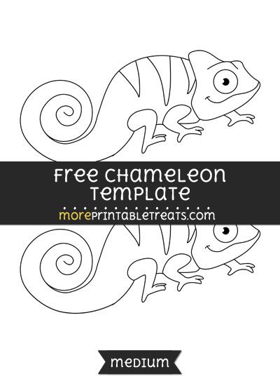 Free Chameleon Template - Medium Chameleon Craft Preschool, Chameleon Activities, Chameleon Template Free Printable, Chameleon Art Projects For Kids, Chameleon Template, A Color Of His Own Chameleon Template, Chameleon Outline, Reptiles Preschool, Chameleon Coloring Page