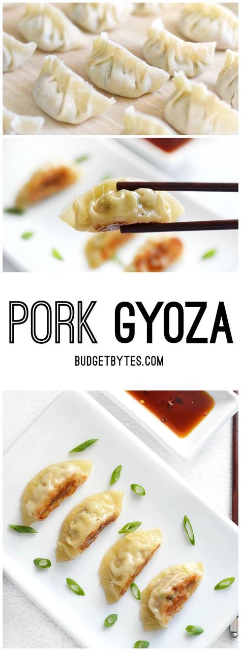 Filling, folding, frying, and steaming your own Pork Gyoza at home is not only fun, but it costs just pennies on the dollar compared to restaurants. Recipe by @budgetbytes Pork Gyoza, Won Ton, Budget Bytes, New Blog Post, Asian Cooking, Asian Dishes, International Recipes, Frying, Pork Recipes