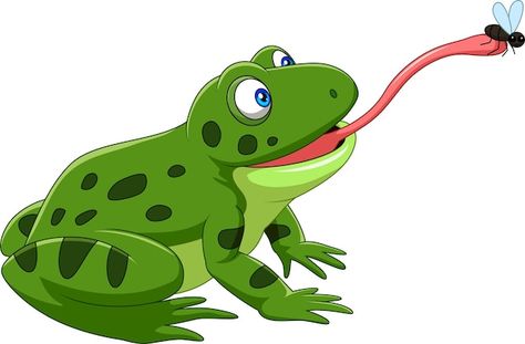 Cartoon Frog, Frog Pictures, Frog Art, Cityscape Photos, Free Vector Images, Cartoon Art, Food Animals, Stock Images Free, Graphic Resources