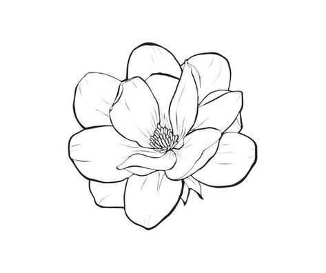 Flower Drawing Tutorials, Magnolia Design, Chalk Ink, Flower Art Drawing, Flower Sketches, Floral Drawing, White Chalk, Magnolia Flower, Flower Doodles