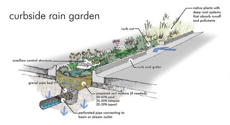 Pipe Bed, Water From Air, Stormwater Management, Rainwater Harvesting, Side Garden, Water Management, Rain Garden, Water Systems, Urban Landscape