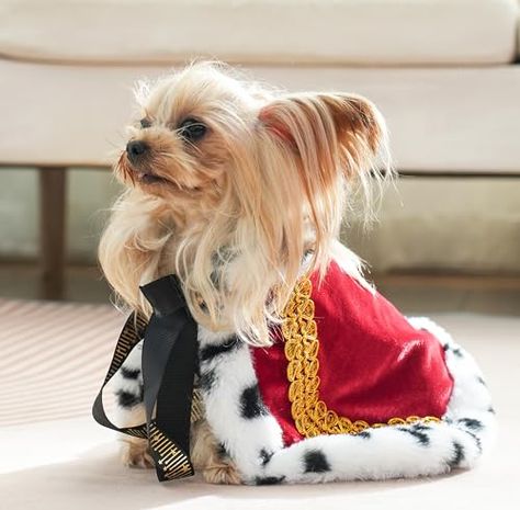 Lovelyshop pet Serial Lux Fur Red Cat Dog Cloak for Halloween Costumes, King Queen Prince and Princess Cosplay-XS Queen Cape, Best Small Dogs, Oz Movie, Puppy Costume, Princess Halloween Costume, Small Dog Sweaters, Princess Cosplay, Special Halloween, Red Cat