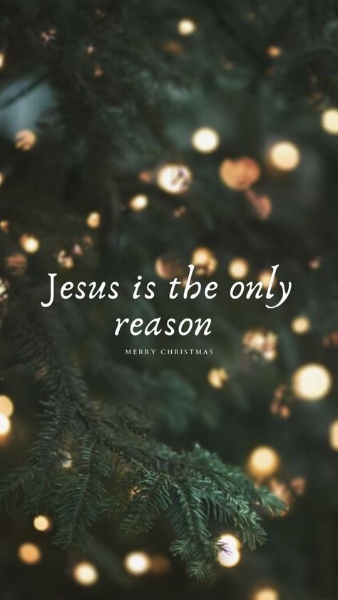 Christ Christmas Quotes, Jesus Is The Reason For The Season Wallpaper, Merry Christmas Christian Quotes, Merry Christmas Bible Quotes, Merry Christmas Bible Verse, Jesus Is The Reason For The Season, Christmas Bible Verses Quotes, Christmas Jesus Quotes, Merry Christmas Jesus Christ