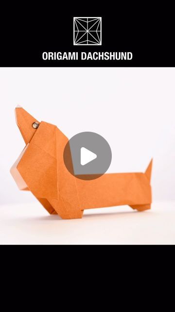 Paper Crafts 1101 on Instagram: "PAPER DACHSHUND FOLDING   Designed by Kakami Hitoshi Modified by Papercrafts 1101  #basteln #papercrafting #papierfalten #origami #dachshund" Origami Dachshund, Dachshund, Origami, Craft Ideas, Paper Crafts, On Instagram, Instagram, Design