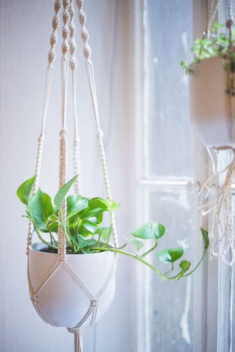 Easy Home-DIY: Macrame Plant Hanger Tutorial - heylilahey. Plant Hanger Tutorial, Diy Macrame Plant Hanger Tutorials, Diy Macrame Wall Hanging, Tutorial Macramé, Macrame Wall Hanging Tutorial, Macrame Plant Hanger Tutorial, Macrame Plant Hanger Patterns, Diy Macrame Plant Hanger, Hanger Diy