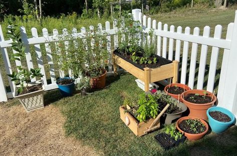 Homeowner subverts HOA with clever ‘workaround’ to their neighborhood’s harsh garden rules: ‘Your HOA sounds horrible’ — The Cool Down Hoa Approved Garden, Garden Bed, Too Long, Garden Beds, The Cool, The Neighbourhood, Home And Garden, Sound, Yard