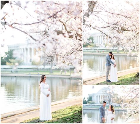 Spring Maternity Photos, Dc Cherry Blossoms, Maternity Photography Poses Couple, Spring Portraits, Maternity Photography Couples, Spring Maternity, Elegant Couple, Cherry Blossom Season, Maternity Photography Poses