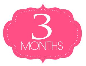 Three Months – brittanymariereads Six Month Old Baby, Childrens Poems, Social Emotional Development, 6 Month Old Baby, Oracle Card Reading, Baby Care Tips, Old Signs, Laugh At Yourself, Perfection Quotes