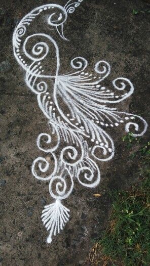 Simple peacock rangoli Bird Rangoli Design, Boghi Festival Rangoli, Pecock Model Rangoli, Simple Peacock Rangoli, White Rangoli, Easy Rangoli Design, Indian Rangoli Designs, Peacock Rangoli, Latest Rangoli