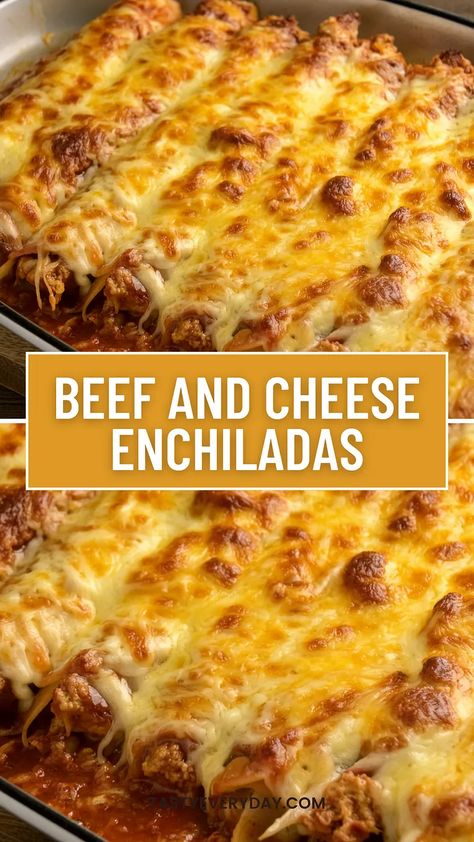 Savory Beef Enchiladas with Melted Cheese | by Tasty Everyday | Medium Authentic Enchilada Recipe, Beef And Cheese Enchiladas, Mexican Food Dishes, Beef Enchilada Recipe, Cheesy Enchiladas, Ground Beef Enchiladas, Cheese Enchiladas, Crowd Pleasing Recipes, Beef Enchiladas