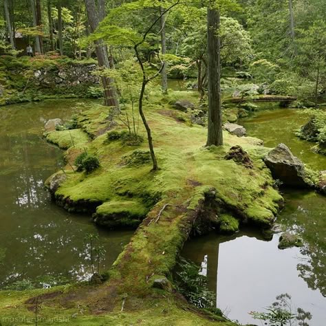 Japan Temple, Moss Covered, Moss Garden, Japan Travel Guide, Jolie Photo, Zen Garden, Magical Places, Pretty Places, Japanese Garden